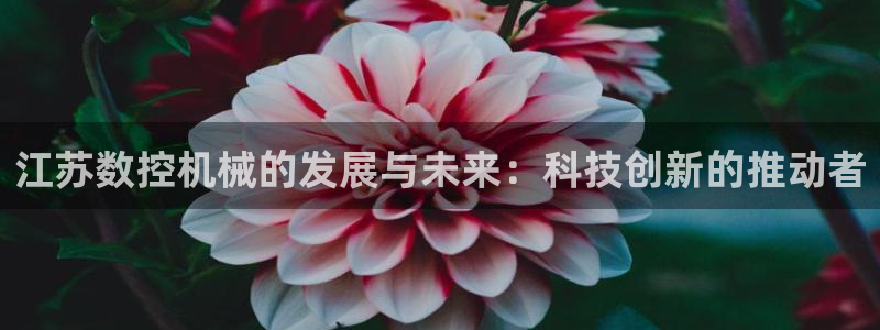 天辰娱乐官方网