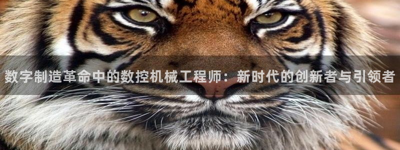 天辰娱乐信誉
