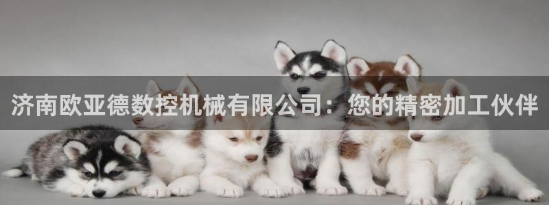 天辰娱乐论坛:济南欧亚德数控机械有限公司:您的精密加工伙伴