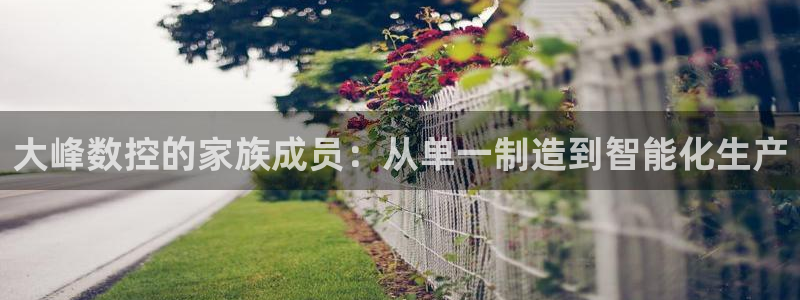 天辰娱乐棋牌