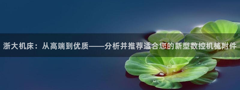 天辰彩票娱乐