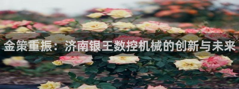 天辰在线娱乐：金策重振：济南银王数控机械的创新与未来