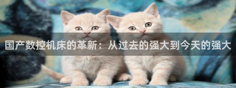 娱乐ktv天辰