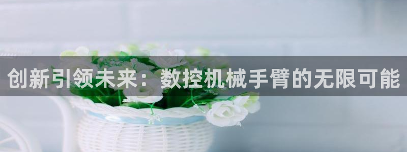 天辰团队贝高娱乐：创新引领未来：数控机械手臂的无限可能