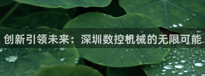 天辰臣娱乐