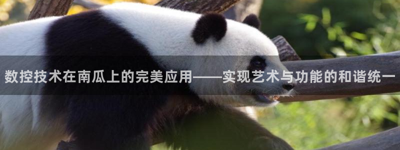天辰娱乐下载地址：数控技术在南瓜上的完美应用——实现艺术与功能的和谐统一