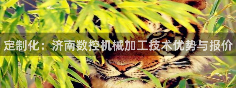 天辰娱乐官网平台入口：定制化：济南数控机械加工技术优势与报价