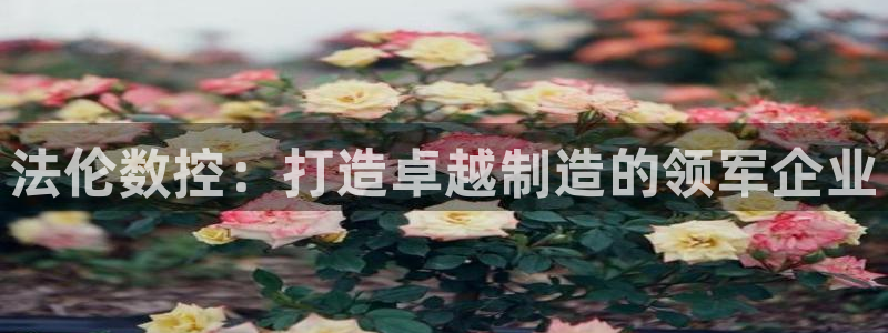 天辰娱乐彩票