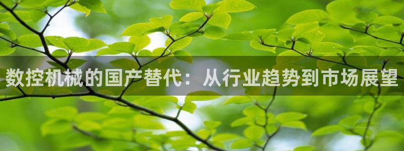 天辰娱乐注册