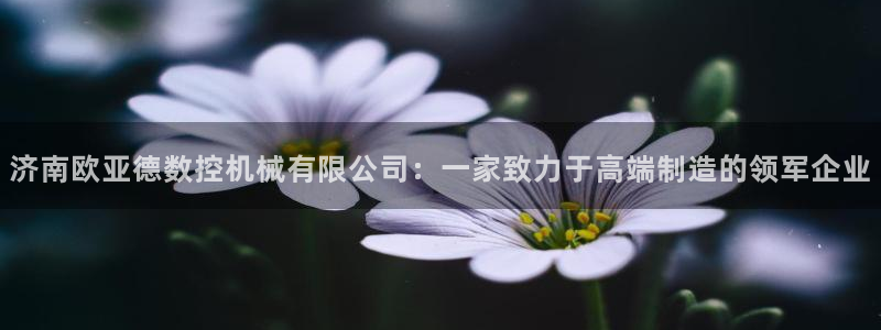 天辰娱乐开户