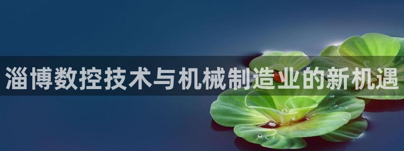 天辰娱乐新