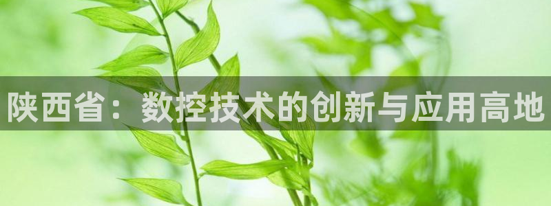 天辰娱乐老板