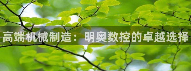 南京天辰娱乐