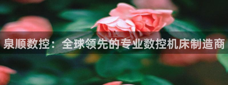 天辰娱乐总管：泉顺数控：全球领先的专业数控机床制造商