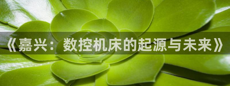 天辰娱乐文化