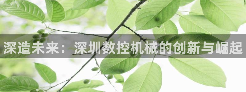 天辰娱乐扣钱