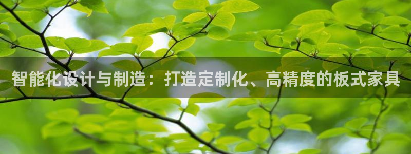 天辰娱乐小妹：智能化设计与制造：打造定制化、高精度的板式家具