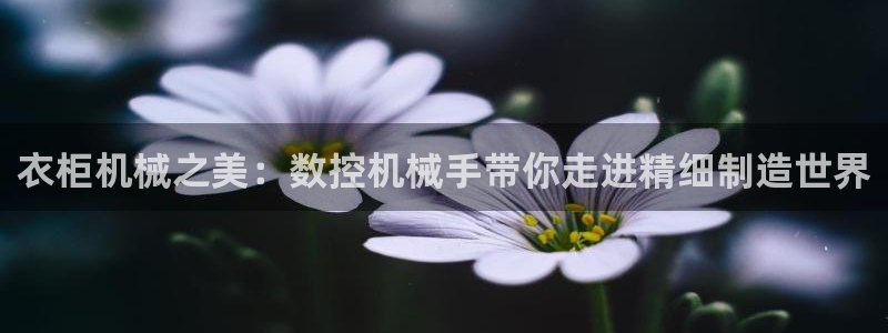 南充天辰娱乐：衣柜机械之美：数控机械手带你走进精细制造世界