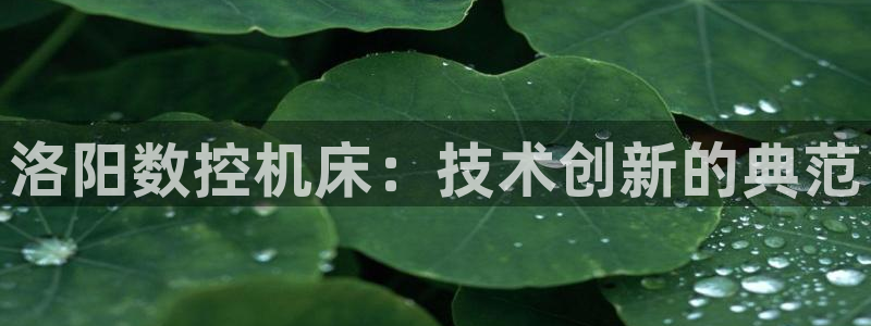 天辰娱乐39596