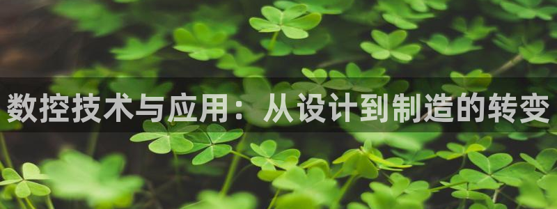 天辰娱乐481928