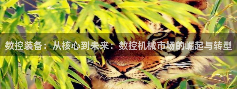 天辰娱乐 44516