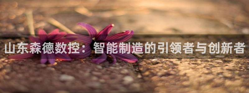 天辰娱乐 39974