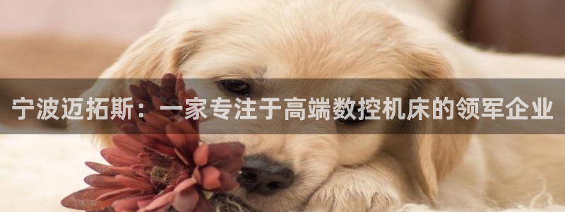 天辰国际娱乐