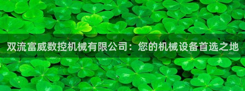 广东天辰娱乐