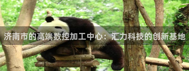 天辰娱乐游客