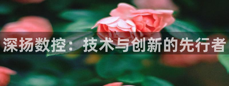天辰娱乐官方登录入口：深扬数控：技术与创新的先行者