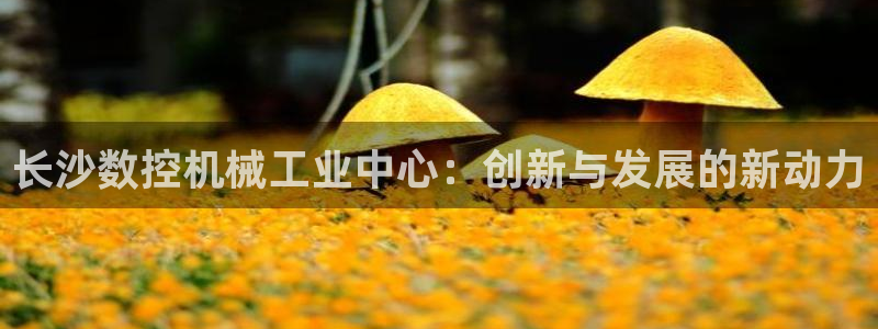 天辰天富娱乐登录