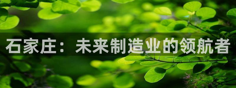 下载天辰娱乐：石家庄：未来制造业的领航者