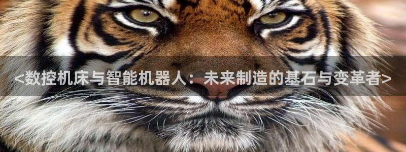 天辰娱乐 44516：<数控机床与智能机器人：未来制造的基石与变革者>