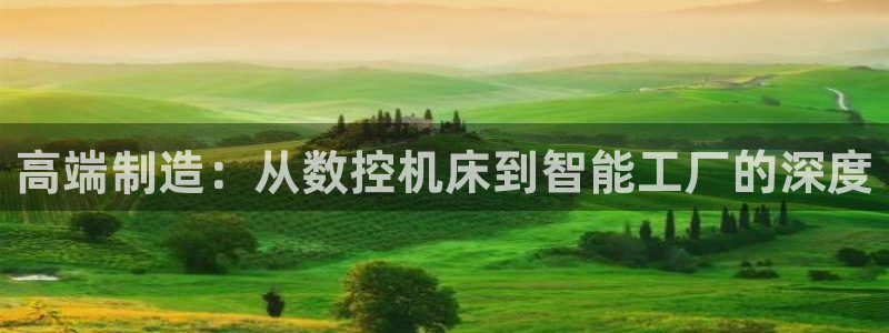 天辰娱乐 . 鱼刺