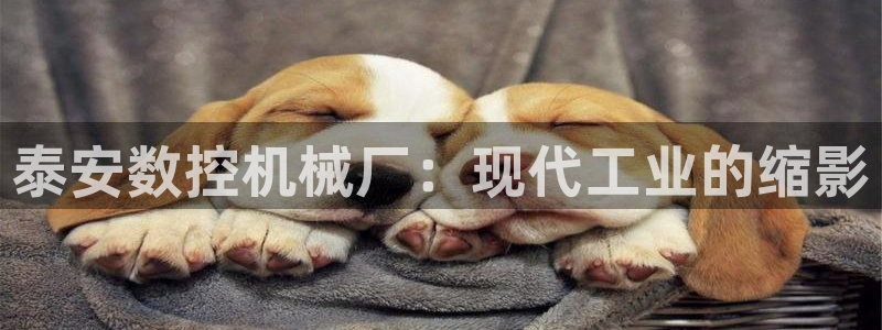 天辰娱乐 天辰平台