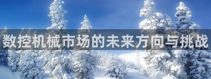 天辰娱乐481928：数控机械市场的未来方向与挑战