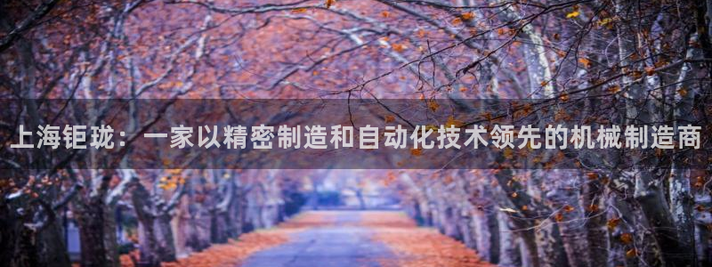 天辰娱乐厕所：上海钜珑：一家以精密制造和自动化技术领先的机械制造商