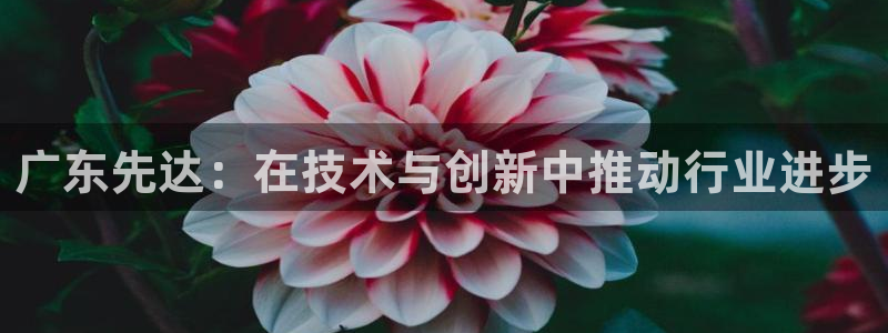 天辰团队贝高娱乐