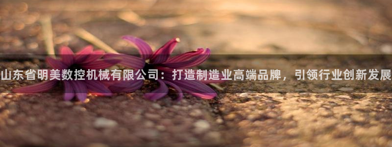 天辰娱乐44616：山东省明美数控机械有限公司：打造制造业高端品牌，引领行业创新发展