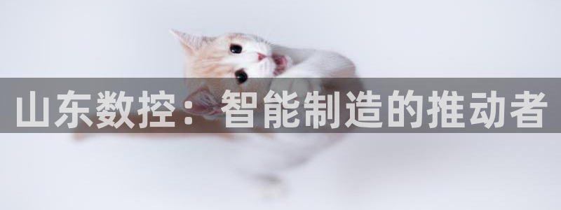 天辰娱乐公司:山东数控:智能制造的推动者