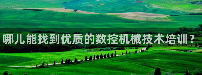 天辰娱乐主管:哪儿能找到优质的数控机械技术培训?