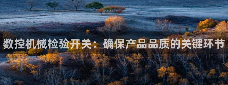 天辰娱乐平台登录账号:数控机械检验开关:确保产品品质的关键环节