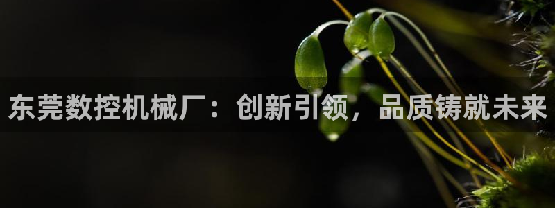 天辰天富娱乐登录